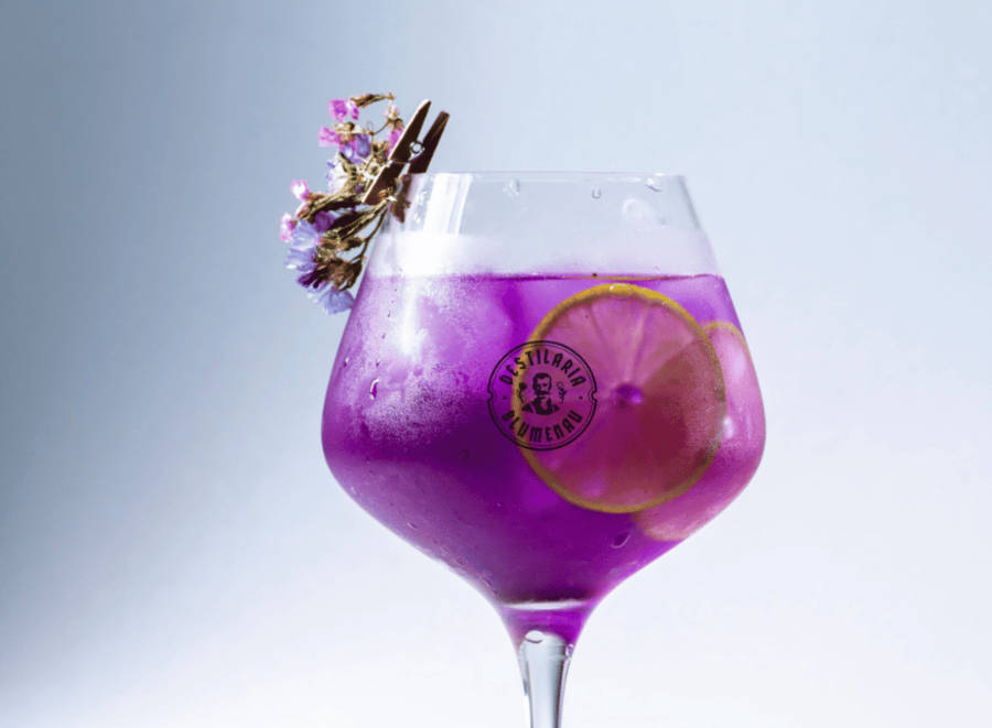 Violet The Bravalley